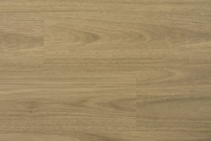 Terrain Luxury Vinyl Plank - Australian Ghost Gum